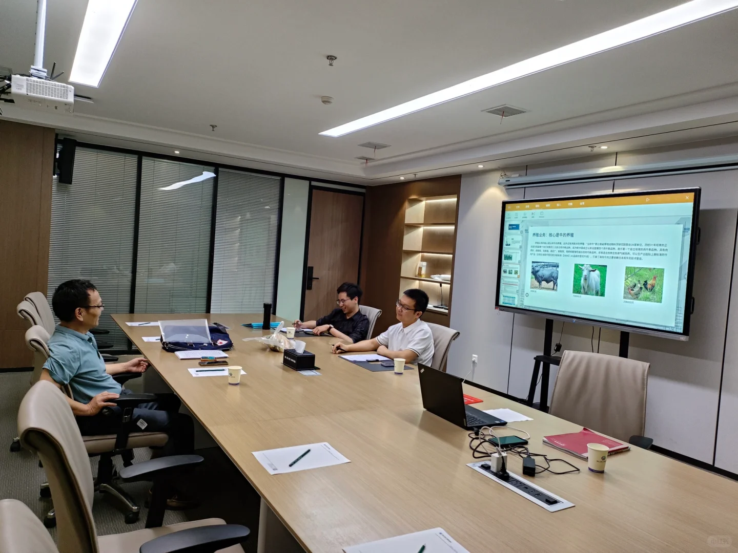 1000g0082g9smsd6ia00g5n4mbiv4k36dc9jvavond Dft Wgth Webp 3